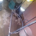 Resguarda Protección Civil a halcón herido 7 Halcon Herido 7