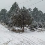 Reporta Protección Civil caída de nieve en regiones serranas del estado 6 Reportan nevadas de Basaseachi a Guachochi 9