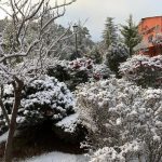 Reportan nevadas en diversas zonas 5