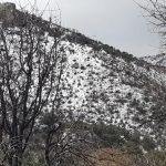 Recomiendan revisar condiciones de carreteras antes de viajar 9 Sierra nevada