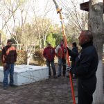 Finaliza Parques y Jardines cursos de poda 1 cursos de poda 1
