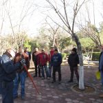 Finaliza Parques y Jardines cursos de poda 5 cursos de poda 4