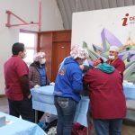 esterilizacion 5