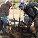 Arranca reforestación del parque El Chamizal 2 reforestacion chamizal 4