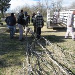Arranca reforestación del parque El Chamizal 6 reforestacion chamizal 5