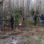 Arranca reforestación del parque El Chamizal 5 reforestacion chamizal 6