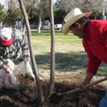 Arranca reforestación del parque El Chamizal 9 reforestacion chamizal 8