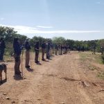 COMISIÓN ESTATAL DE BÚSQUEDA 1