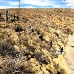 COMISIÓN ESTATAL DE BÚSQUEDA