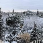 Nevada 04 y 05 de febrero de 2020 23