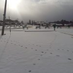 Nevada 04 y 05 de febrero de 2020 5