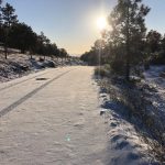 Nevada 04 y 05 de febrero de 2020 8