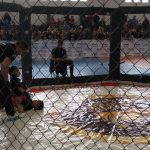 Torneo de MMA 1