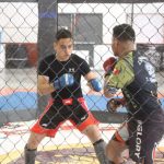 Torneo de MMA 8