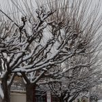 ALERTA NARANJA: Pide Protección Civil extremar cuidados 5 alerta naranja 2