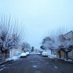 ALERTA NARANJA: Pide Protección Civil extremar cuidados 4 alerta naranja 5