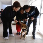 Invita Dirección de Ecología a ciudadanos a esterilizar a sus mascotas de forma gratuita 3 ecologia mascotas 4