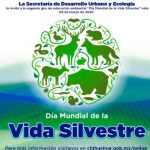 invitación vida silvestre