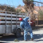 limpieza avenidas 11