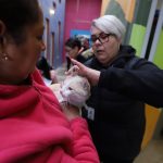 Prepara Dirección de Ecología esterilización de mascotas en Rancho Anapra 5 mascotas 2 1