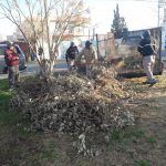 parques y jardines 2