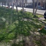 parques y jardines 3