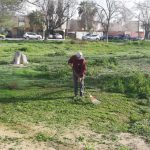 parques y jardines 4