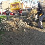 parques y jardines 5