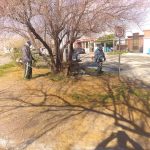 parques y jardines 7