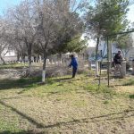 parques y jardines 8