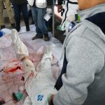 Capacita Protección Civil a personal del Parque Turístico Barrancas del Cobre 3 Capacitación para auxiliar al turismo 1