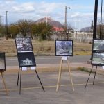 Día Mundial Vida Silvestre3