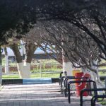 Cerrarán el Parque Central Poniente y los 15 Centros Comunitarios de Gobierno del Estado 4 IMG 3693