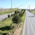 "El nueve ninguna se mueve" tuvo impacto positivo en actividades económicas de la región: Mario Dena 4 IMG 6969 1