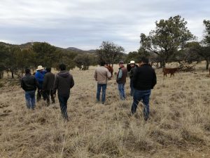 Impulsan Municipio y Estado proyectos sobre manejo integral del suelo y el agua 1