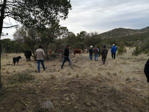 Impulsan Municipio y Estado proyectos sobre manejo integral del suelo y el agua 3