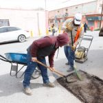 Afirma Municipio superar los 10 mil baches reparados con Programa Emergente 7 bacheo emergente 7
