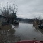 bomberos servicios 8