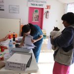 esterilizacion mascotas 13 1