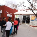 esterilizacion mascotas 7 1