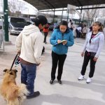 esterilizacion mascotas 9 1