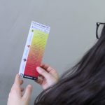 Alerta IMM sobre los diferentes tipos de violencia 2 imm 2 1