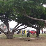 parques religiosos 7