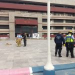 revision edificios 4