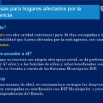 CHIHUAHUA ADELANTE PLAN ALIMENTARIO 6