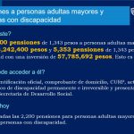 CHIHUAHUA ADELANTE PLAN ALIMENTARIO 9