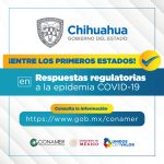 Lámina 1 respuestas regulatorias a la epidemia COVID 19