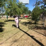 Servicios Publicos 14