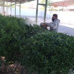 Servicios Publicos 8