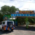 WhatsApp Image 2020 04 09 at 12.24.11 PM